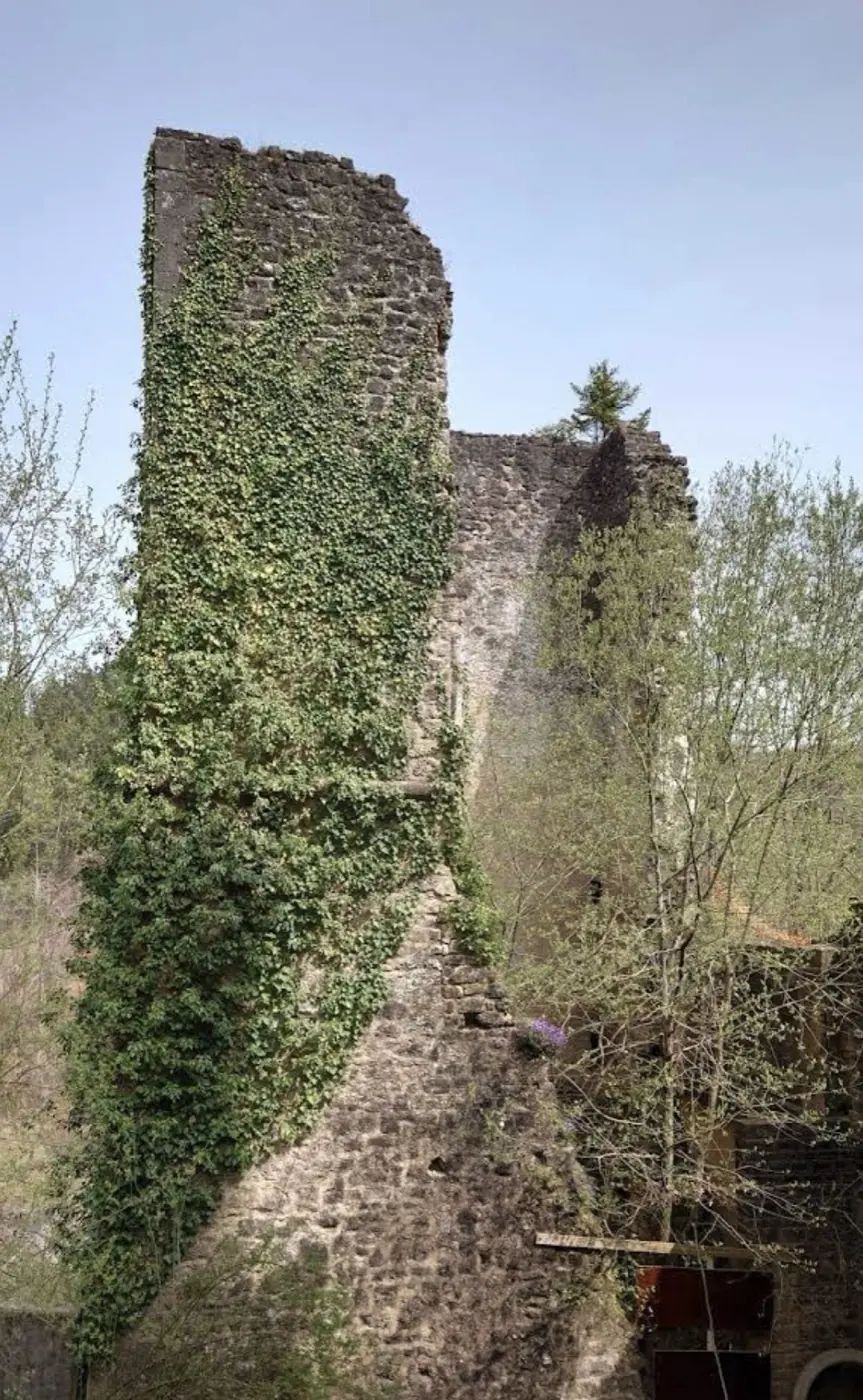 Approach to Septfontaines Castle showing its setting in Simmer Habscht, Luxembourg