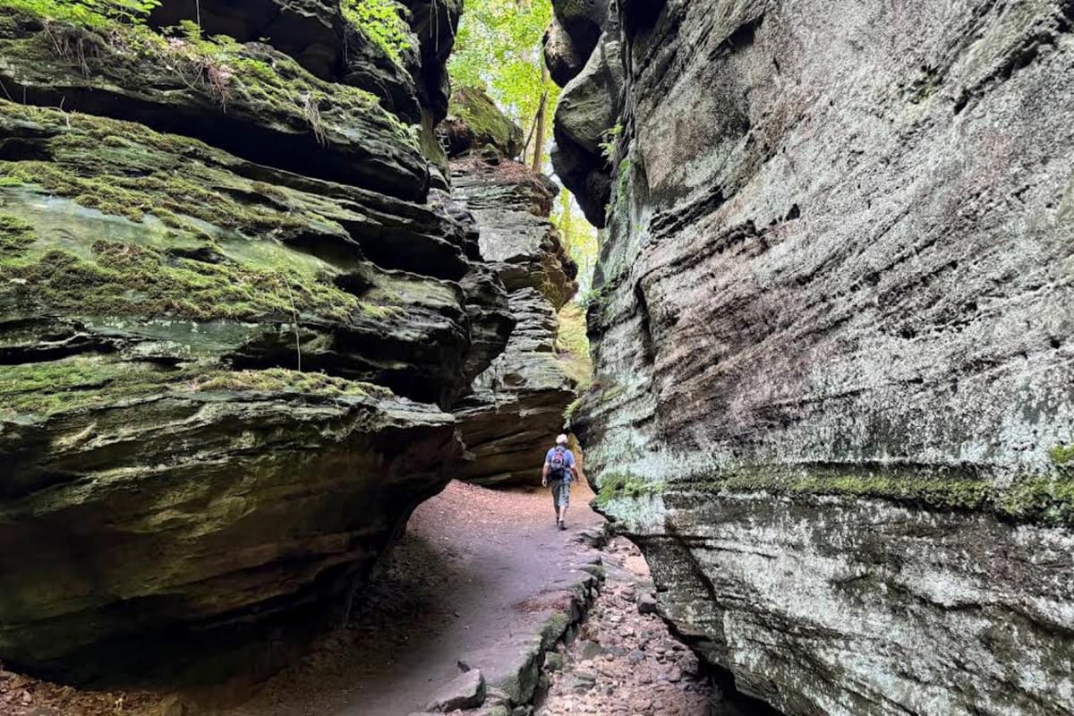 A lone hiker walks a rocky trail through the narrow moss-covered sandstone gorge of the Mullerthal