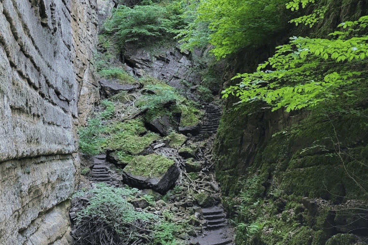 A stone-stepped hiking trail winds uphill through a shaded mossy gorge between layered sandstone cliffs